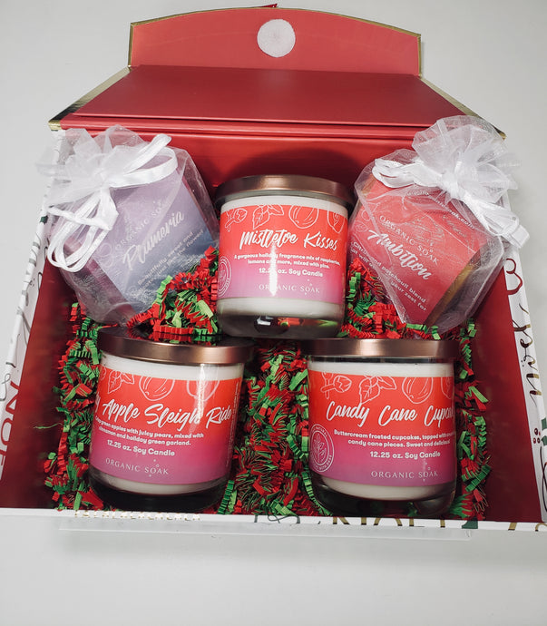 The Organic Christmas Gift Box