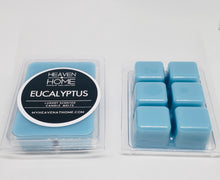 Load image into Gallery viewer, Eucalyptus Soy Melts